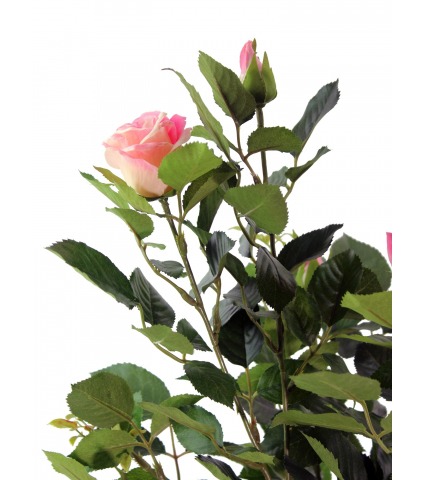 Rosier artificiel rose