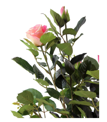 Rosier artificiel rose