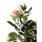 Rosier artificiel rose