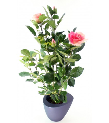 Rosier artificiel rose