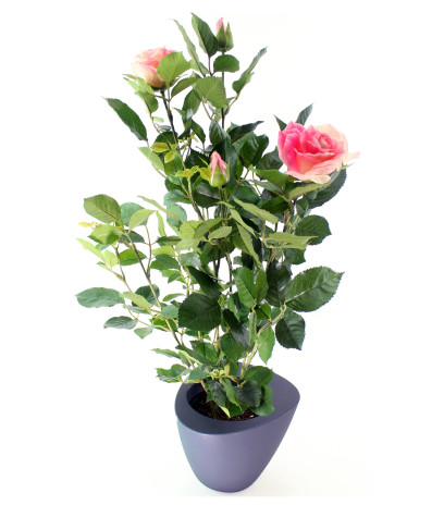 Rosier artificiel rose