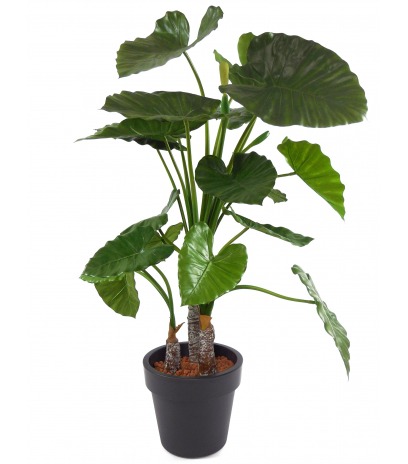 Alocasia artificiel 