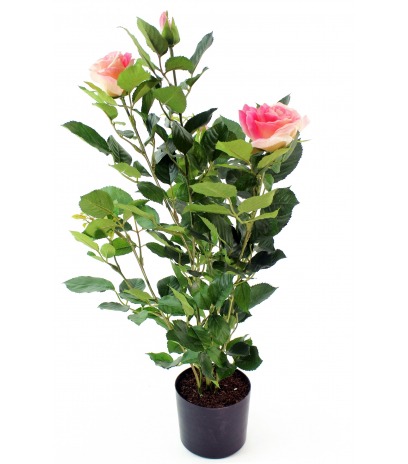 Rosier artificiel rose