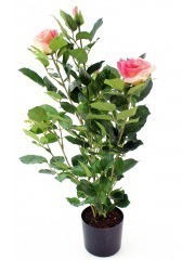 Rosier artificiel rose