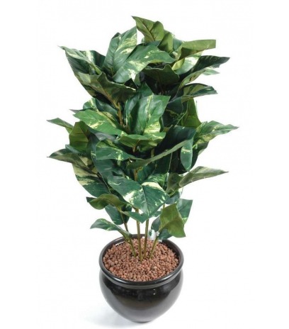 Scindapsus artificiel doré