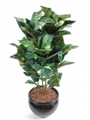 Scindapsus artificiel doré