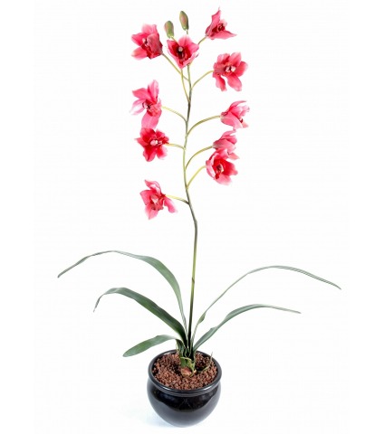 Cymbidium artificiel rouge