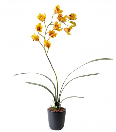 Cymbidium artificiel fleuri