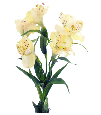 Alstroemeria artificiel