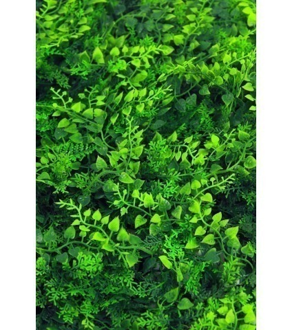 Plaque artificielle fougère