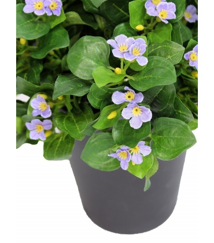 Violette artificielle