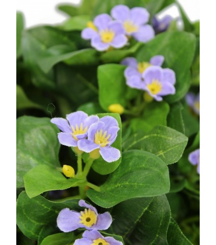 Violette artificielle