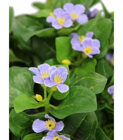 Violette artificielle