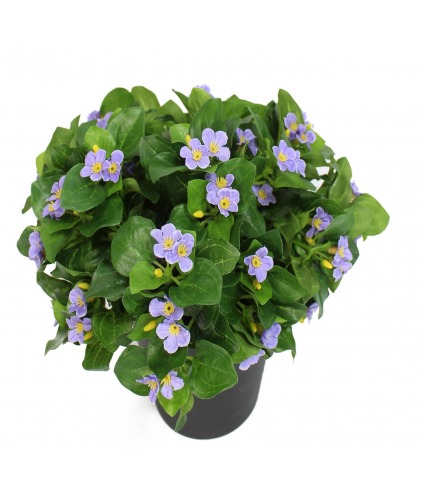 Violette artificielle