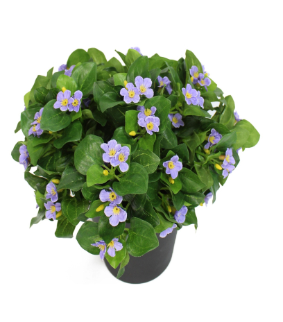 Violette artificielle