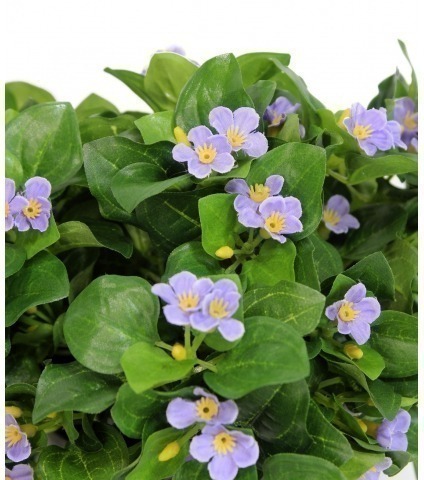 Violette artificielle