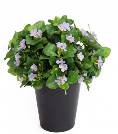 Violette artificielle