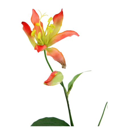 Lys gloriosa artificiel