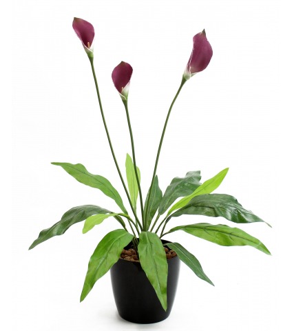 Arum maculatum artificiel