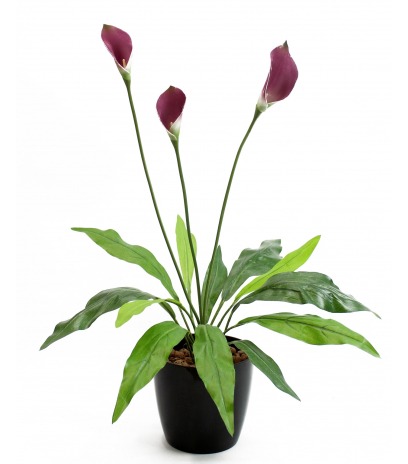 Arum maculatum artificiel