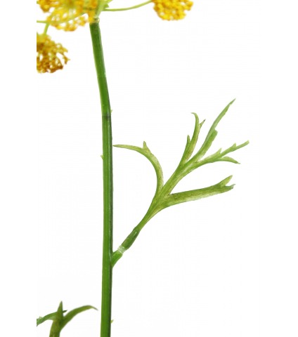 Daucus artificiel jaune