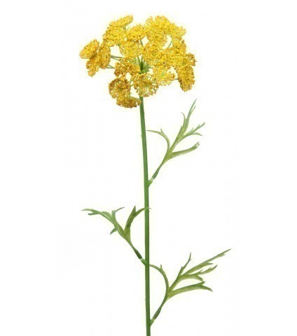 Daucus artificiel jaune