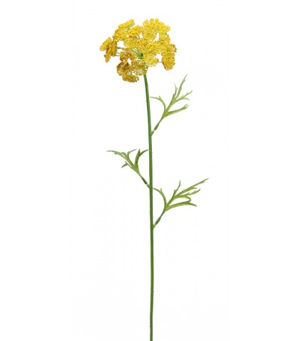 Daucus artificiel jaune