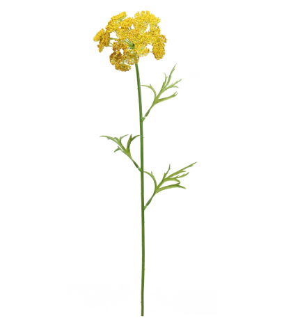 Daucus artificiel jaune