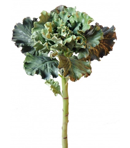 Chou artificiel déco