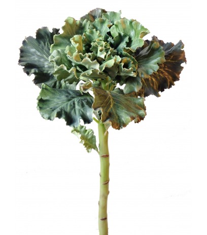 Chou artificiel déco