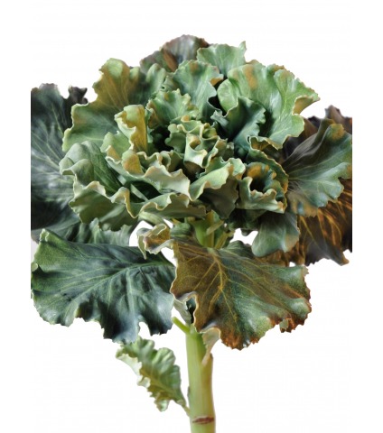 Chou artificiel déco