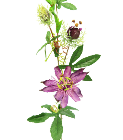 Passiflore artificielle