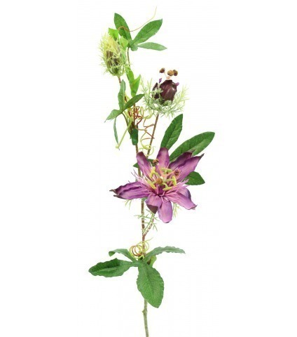 Passiflore artificielle