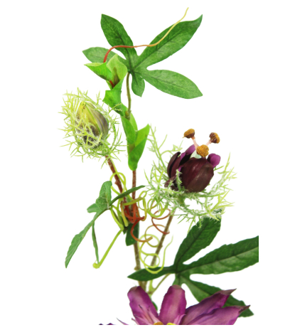 Passiflore artificielle