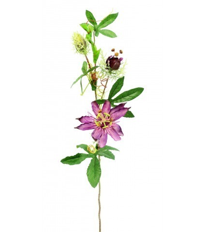 Passiflore artificielle