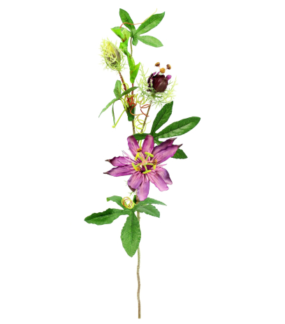 Passiflore artificielle