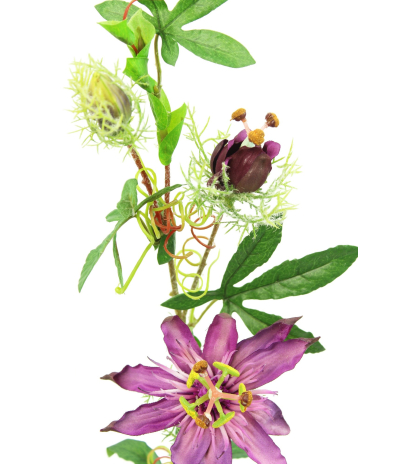 Passiflore artificielle
