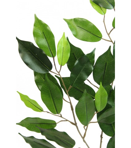 Feuille de ficus artificielle
