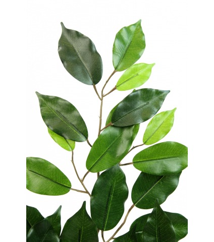 Feuille de ficus artificielle