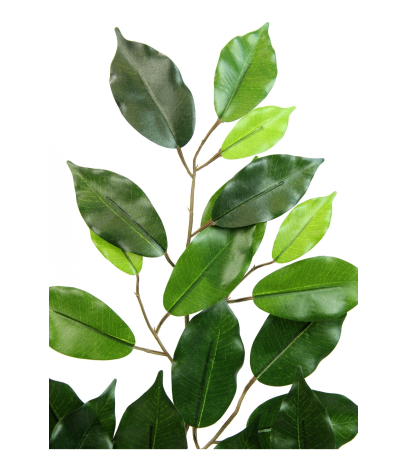 Feuille de ficus artificielle
