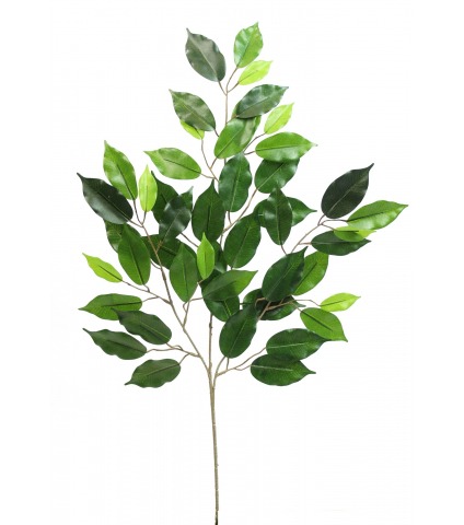Feuille de ficus artificielle