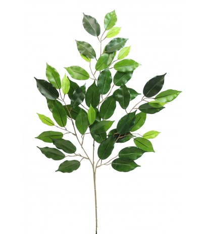 Feuille de ficus artificielle