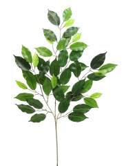 Feuille de ficus artificielle