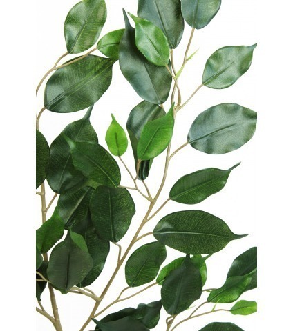 Feuille artificielle de ficus exotica
