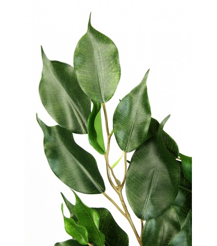 Feuille artificielle de ficus exotica