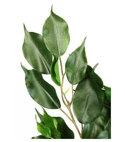 Feuille artificielle de ficus exotica