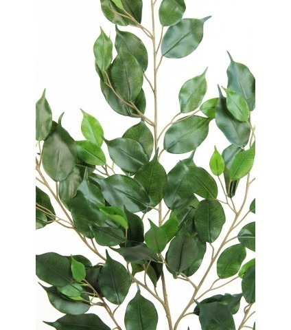 Feuille artificielle de ficus exotica