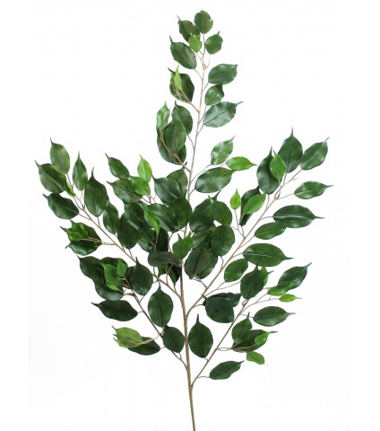 Feuille artificielle de ficus exotica