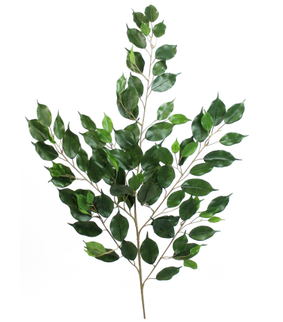Feuille artificielle de ficus exotica