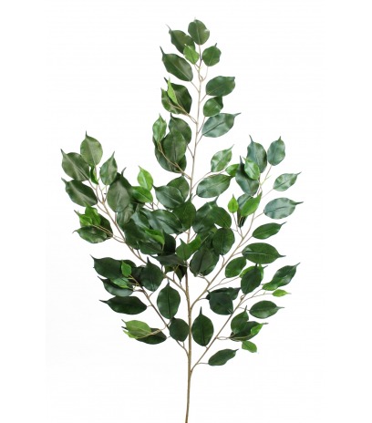 Feuille artificielle de ficus exotica